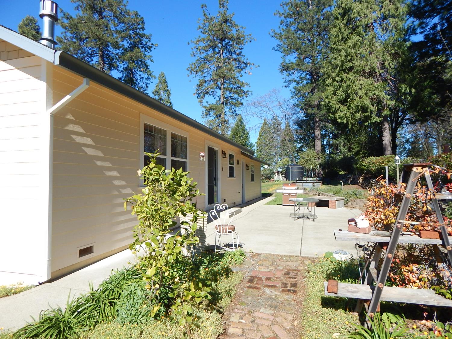 1717 Union Ridge Road Placerville, CA 95667 - Photo 4 of 55 a view of a backyard with plants