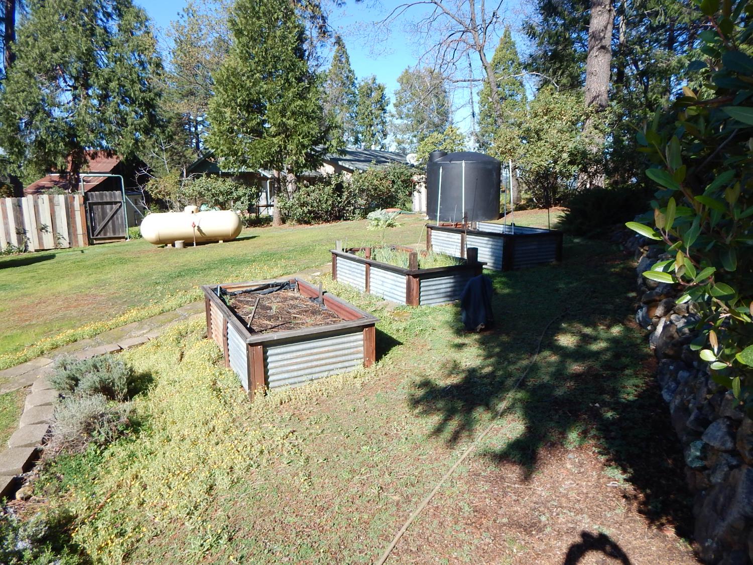 1717 Union Ridge Road Placerville, CA 95667 - Photo 8 of 55