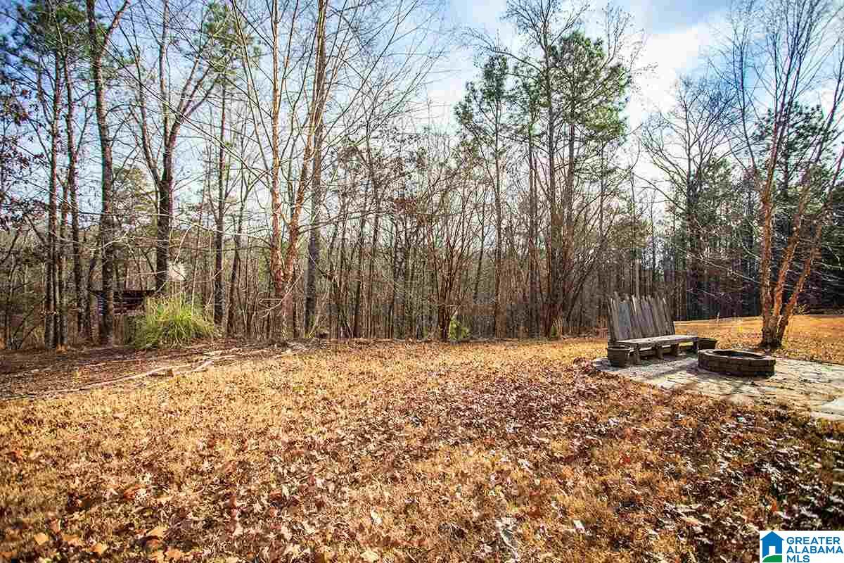 217 Stoneykirk Way Pelham, AL 35124 - Photo 35 of 42