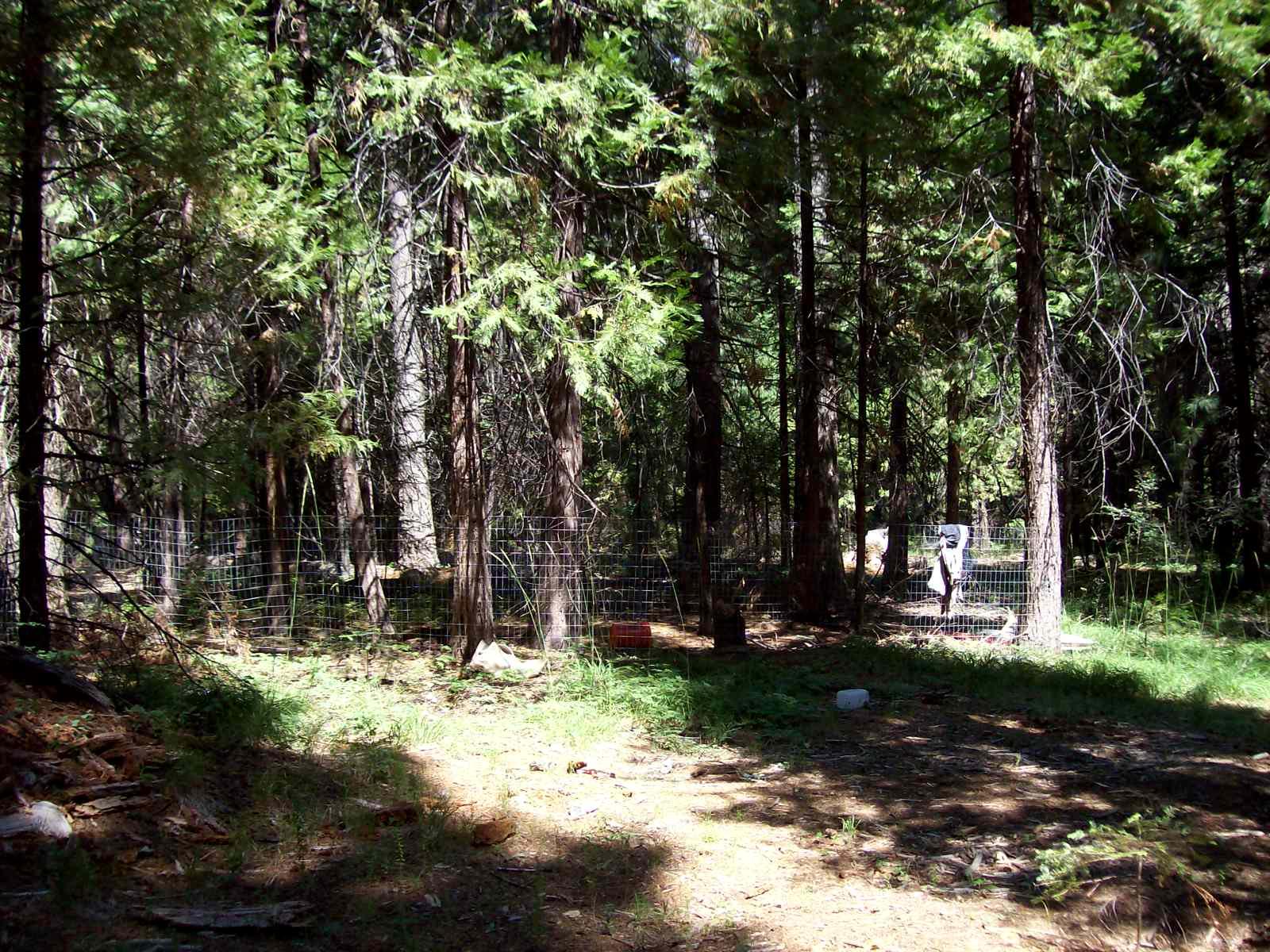 Trail Blazer Road, Unit 7 Shingletown, CA 96088 - Photo 3 of 14 Secluded