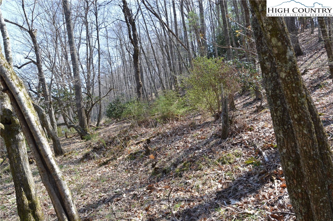 Lot #7 Riverside Drive Sparta, NC 28675 - Photo 11 of 27