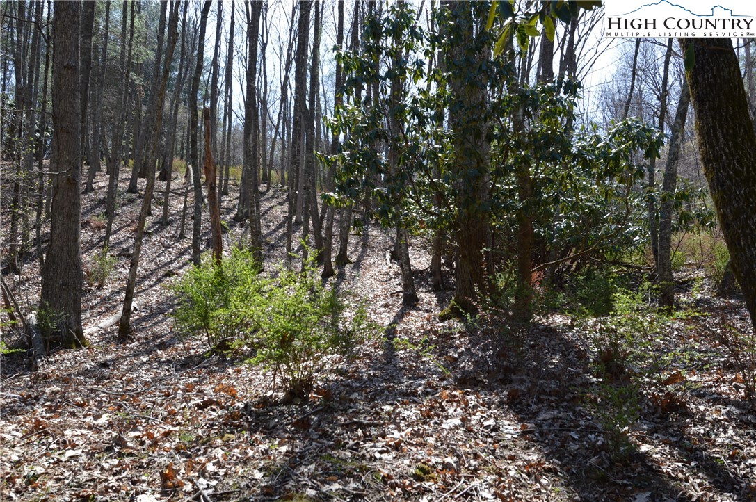 Lot #7 Riverside Drive Sparta, NC 28675 - Photo 12 of 27