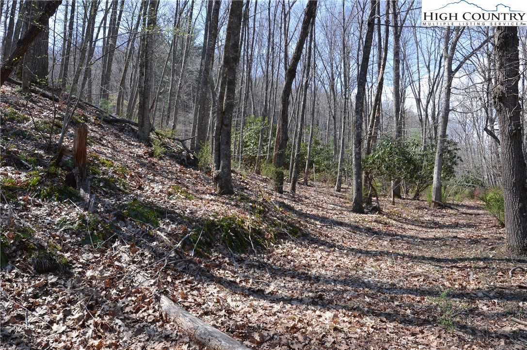 Lot #7 Riverside Drive Sparta, NC 28675 - Photo 14 of 27