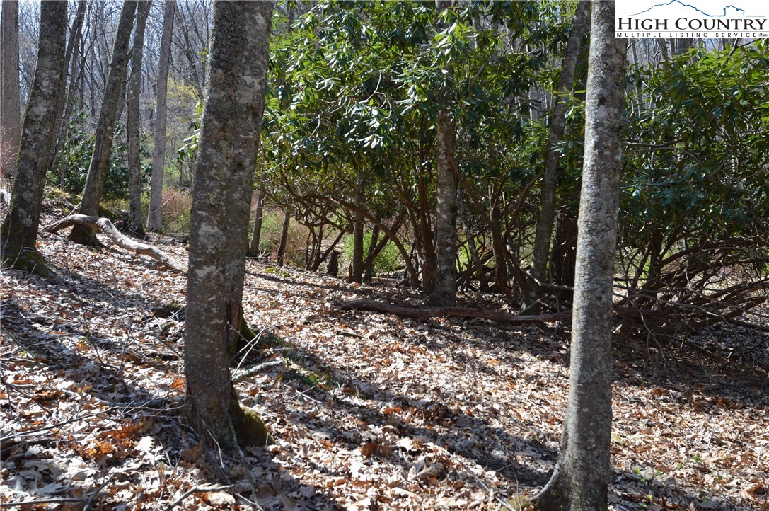Lot #7 Riverside Drive Sparta, NC 28675 - Photo 16 of 27