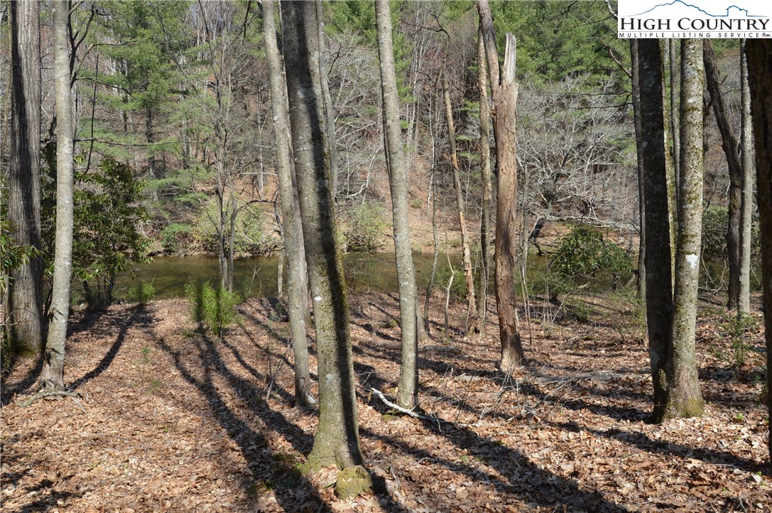 Lot #7 Riverside Drive Sparta, NC 28675 - Photo 17 of 27
