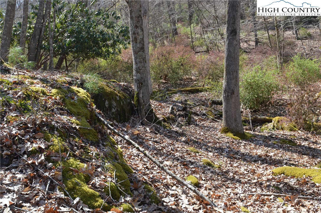 Lot #7 Riverside Drive Sparta, NC 28675 - Photo 18 of 27