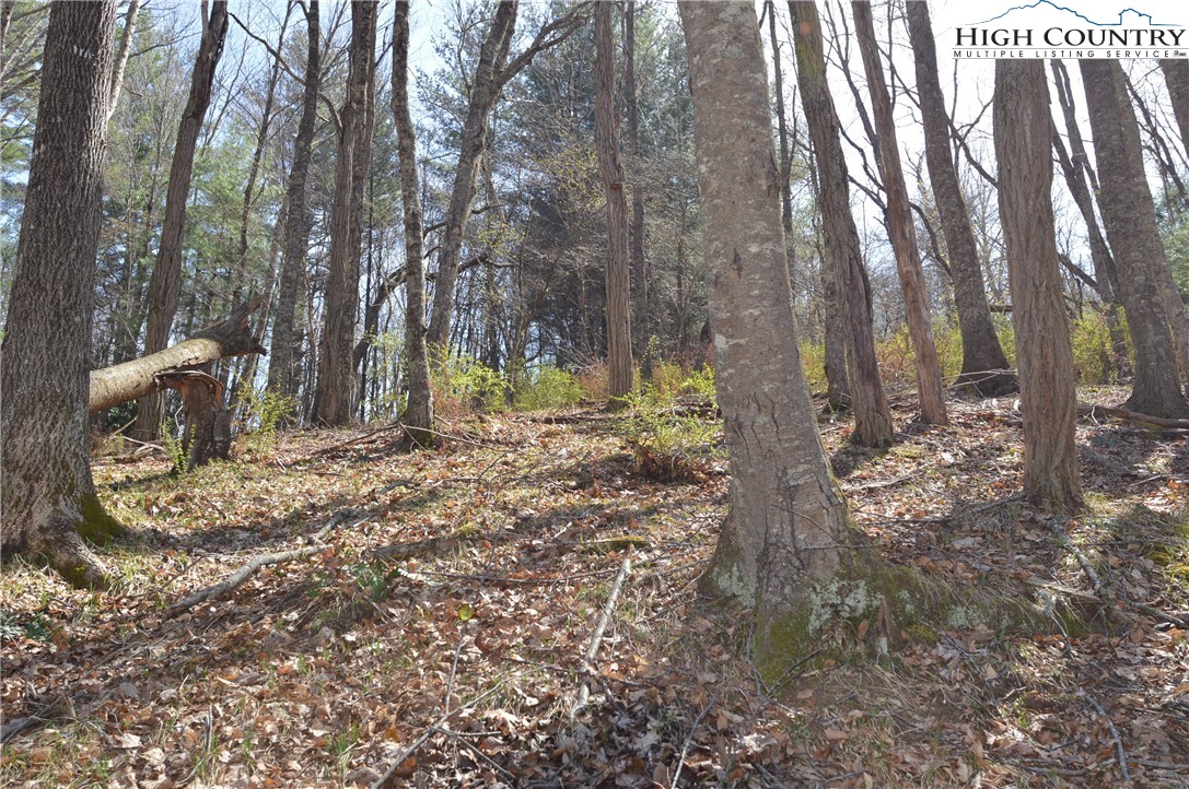 Lot #7 Riverside Drive Sparta, NC 28675 - Photo 19 of 27