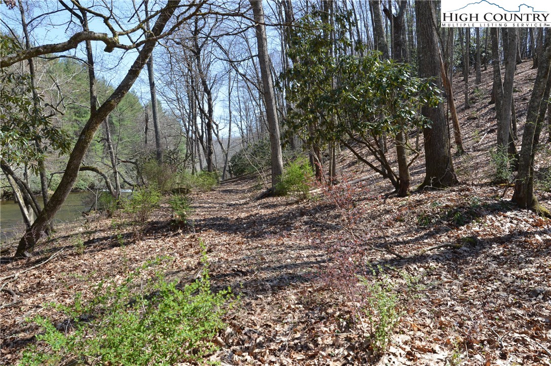 Lot #7 Riverside Drive Sparta, NC 28675 - Photo 2 of 27