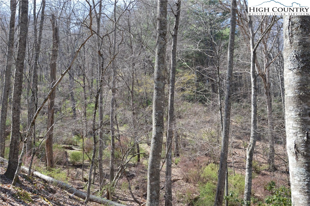 Lot #7 Riverside Drive Sparta, NC 28675 - Photo 21 of 27