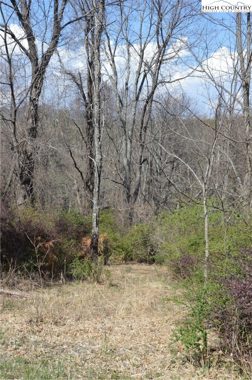 Lot #7 Riverside Drive Sparta, NC 28675 - Photo 24 of 27