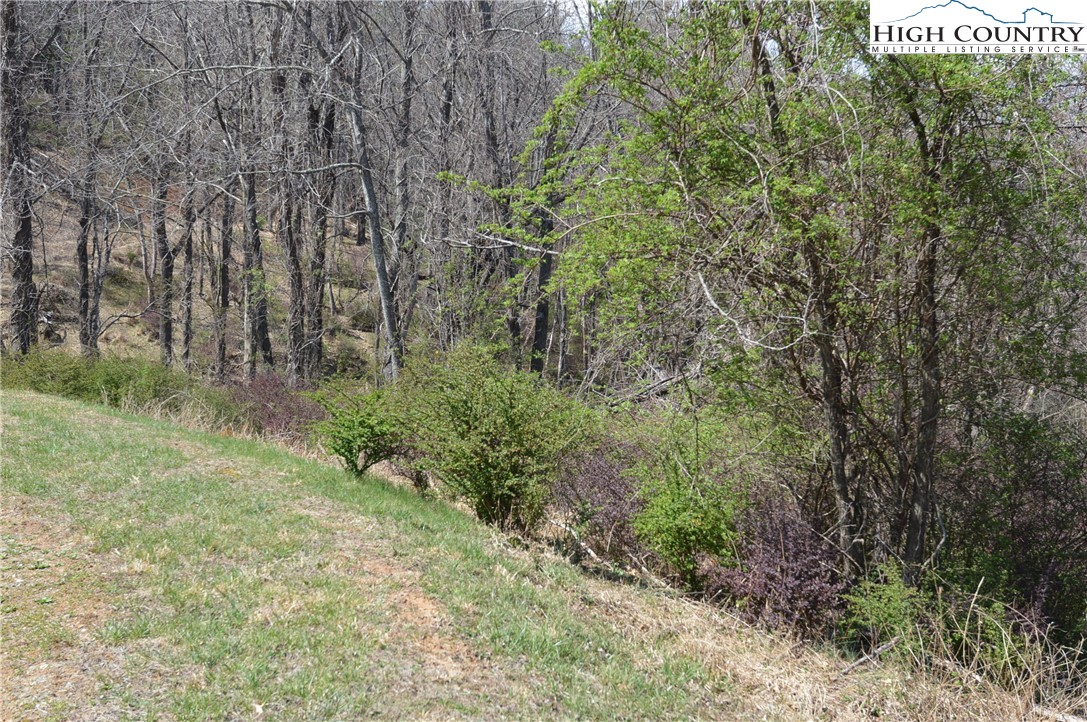 Lot #7 Riverside Drive Sparta, NC 28675 - Photo 25 of 27