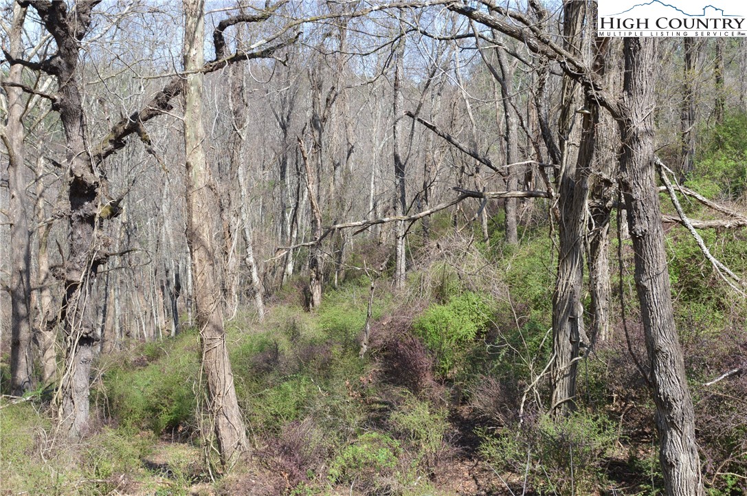 Lot #7 Riverside Drive Sparta, NC 28675 - Photo 26 of 27