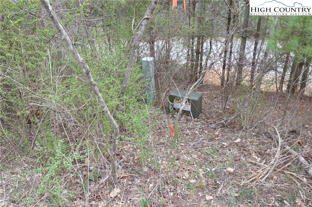 Lot #7 Riverside Drive Sparta, NC 28675 - Photo 4 of 27