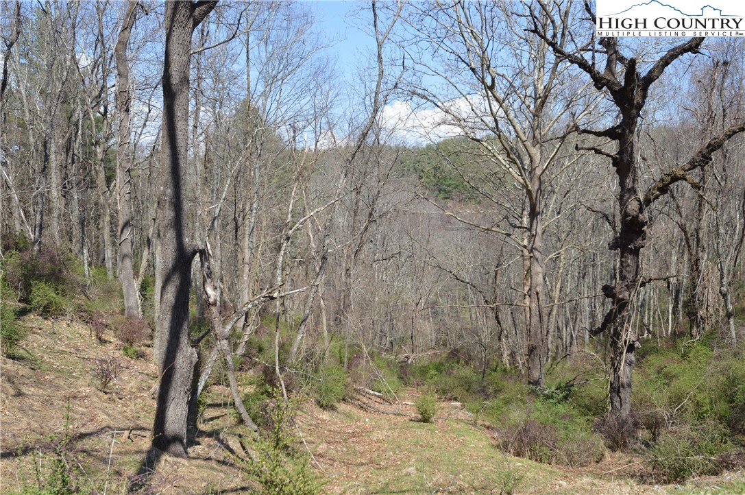 Lot #7 Riverside Drive Sparta, NC 28675 - Photo 5 of 27