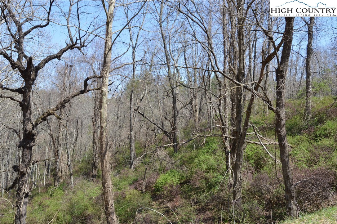 Lot #7 Riverside Drive Sparta, NC 28675 - Photo 6 of 27
