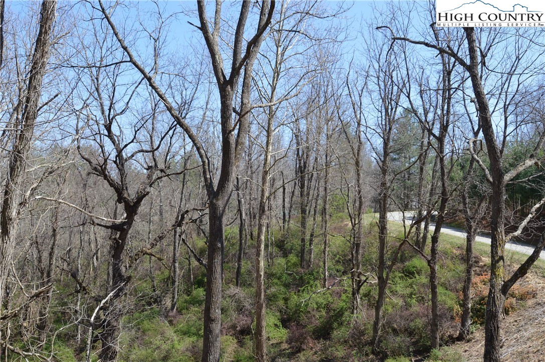 Lot #7 Riverside Drive Sparta, NC 28675 - Photo 7 of 27