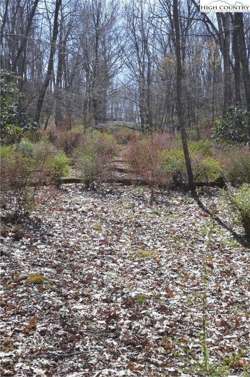 Lot #7 Riverside Drive Sparta, NC 28675 - Photo 8 of 27