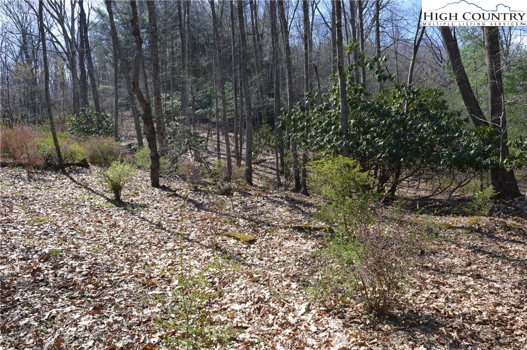 Lot #7 Riverside Drive Sparta, NC 28675 - Photo 9 of 27