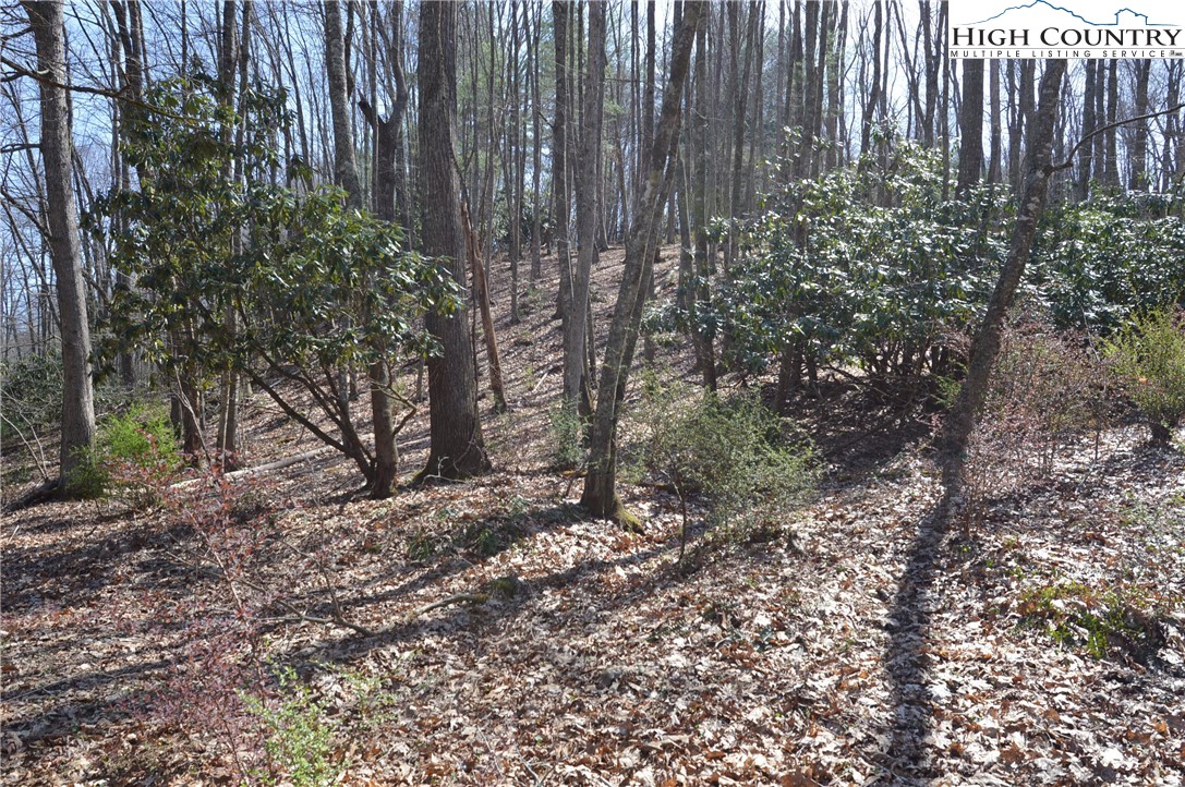 Lot #7 Riverside Drive Sparta, NC 28675 - Photo 10 of 27