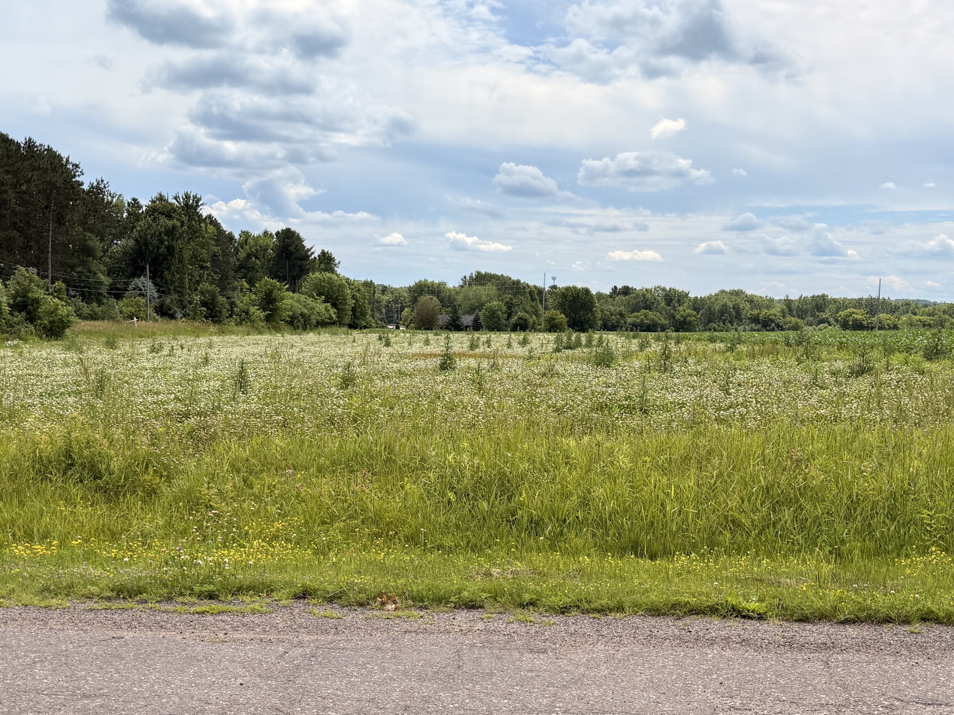 Lot 2 Main Street Chippewa Falls, WI 54729 - Photo 5 of 5