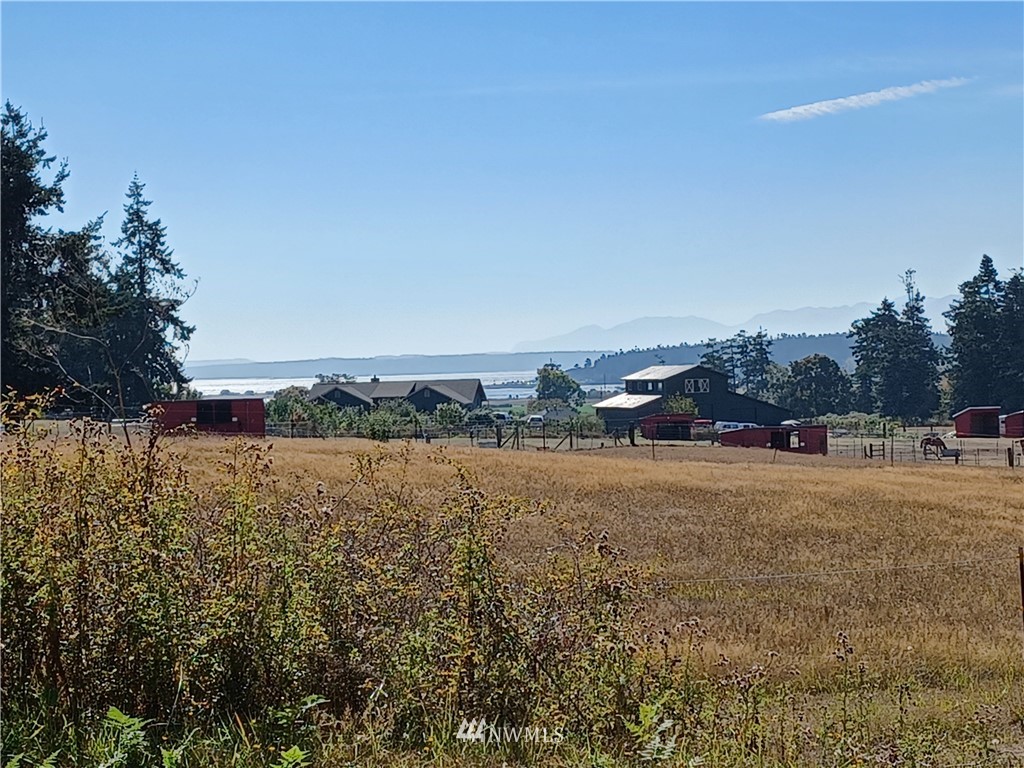 0 Patmore Road Coupeville, WA 98239 - Photo 3 of 7 Gallery Image 3