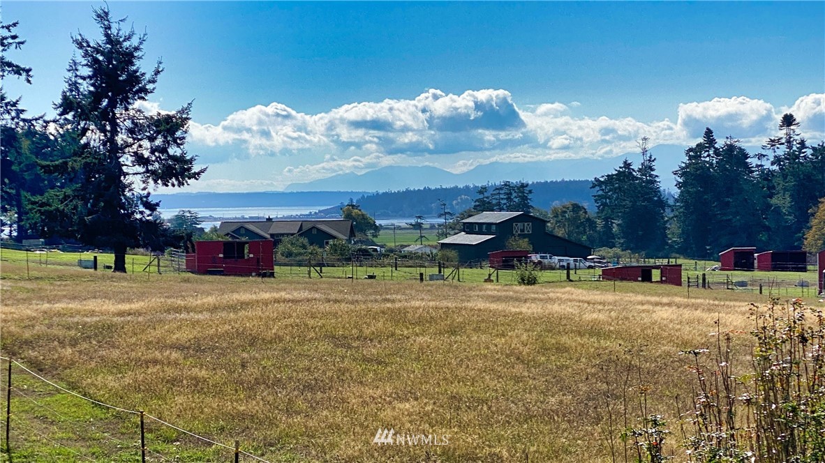 0 Patmore Road Coupeville, WA 98239 - Photo 4 of 7 Gallery Image 4