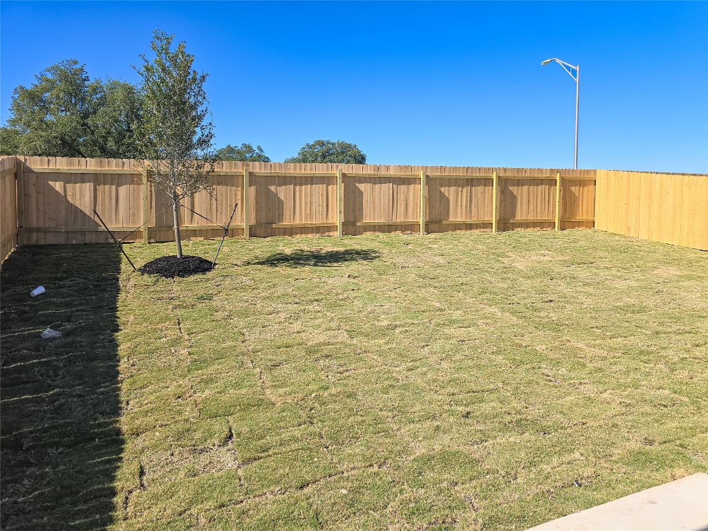 1117 Nesting Bird Drive Georgetown, TX 78628 - Photo 18 of 20 a view of a balcony
