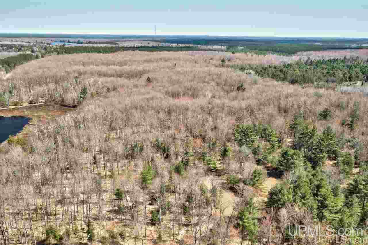 40 West Smith Lake Road Manistique, MI 49854 - Photo 21 of 24