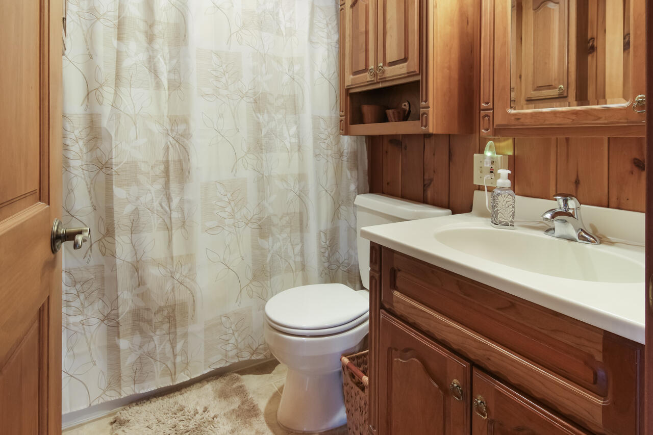 1670 North Haze Road Beulah, MI 49617 - Photo 44 of 68 40-Scene-43