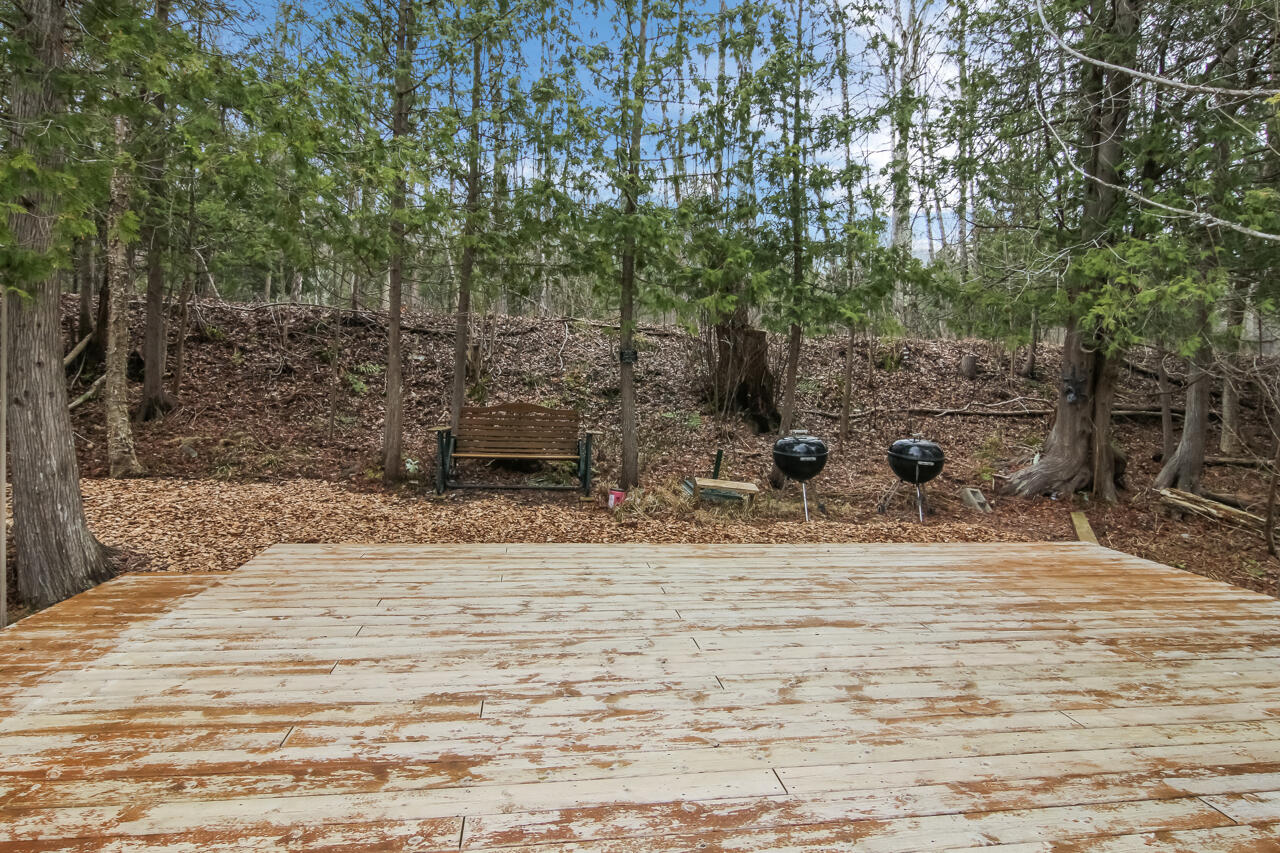 1670 North Haze Road Beulah, MI 49617 - Photo 55 of 68 53-Scene-56