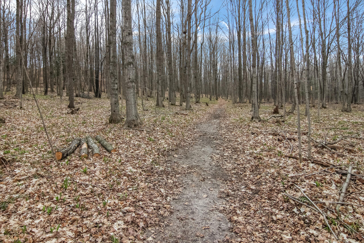 1670 North Haze Road Beulah, MI 49617 - Photo 59 of 68 57-Scene-60