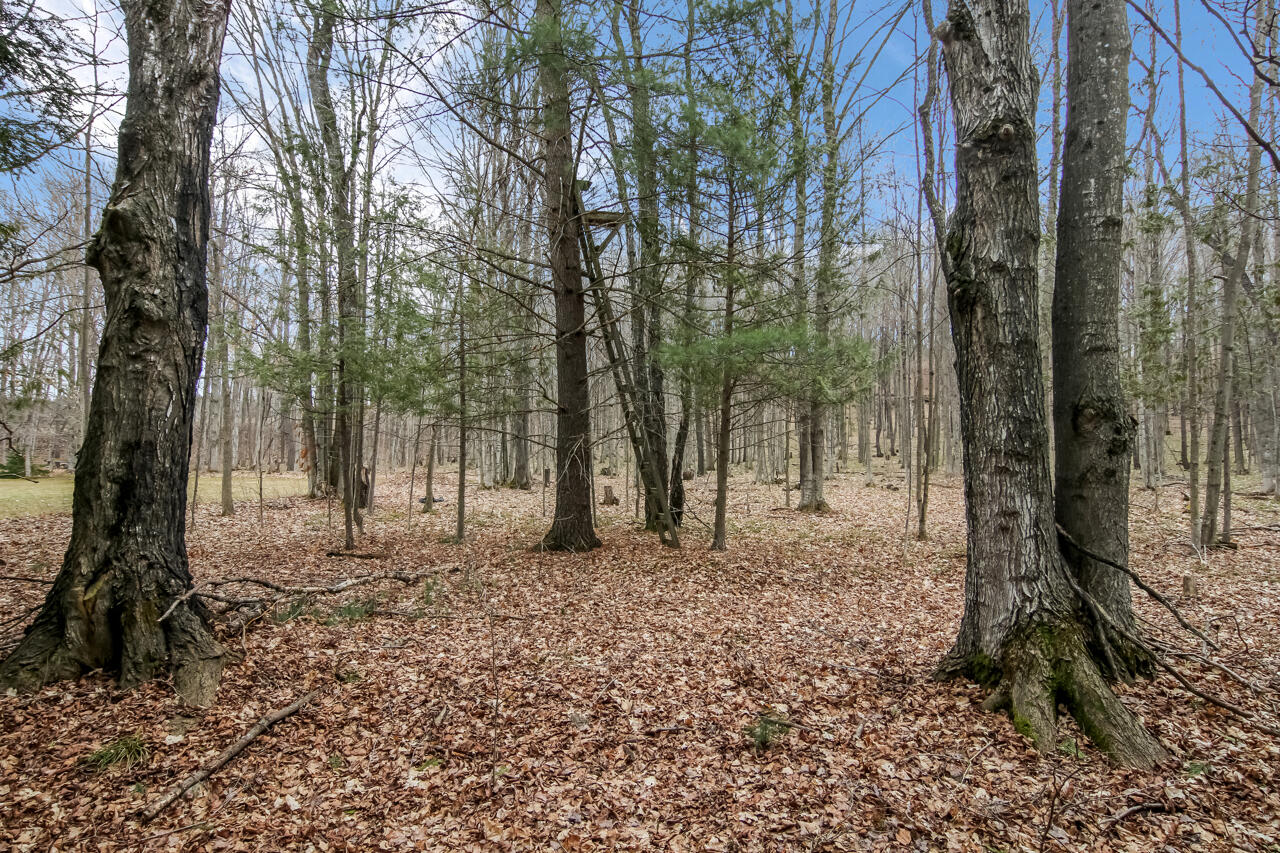 1670 North Haze Road Beulah, MI 49617 - Photo 60 of 68 54-Scene-57