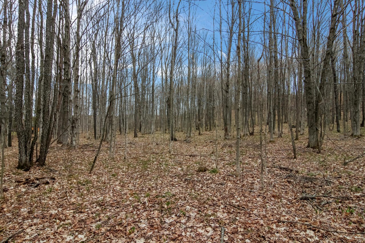 1670 North Haze Road Beulah, MI 49617 - Photo 61 of 68 55-Scene-58