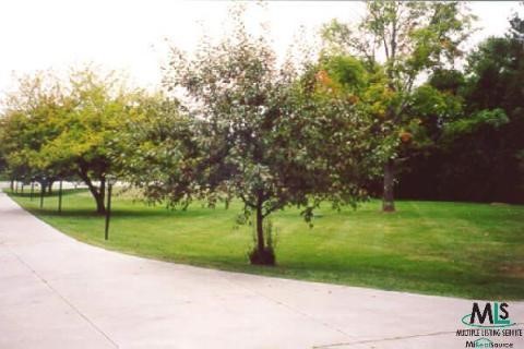 1095 South Lakeshore Road Carsonville, MI 48419 - Photo 4 of 6 840754-3.JPG