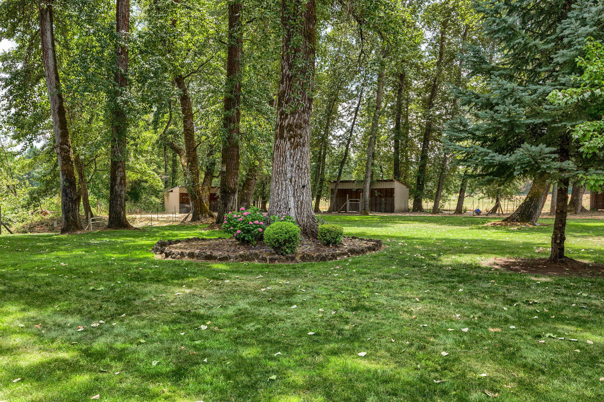 4151 Lower River Road Grants Pass, OR 97526 - Photo 52 of 86 4151 Lower River Rd