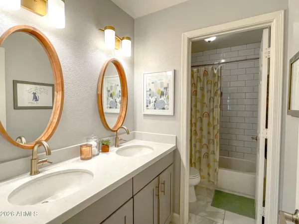 a view of a park with tree s