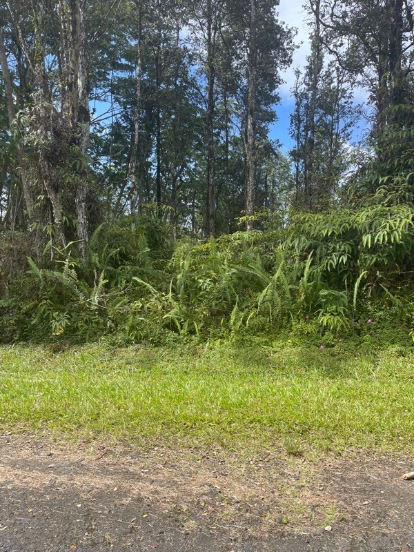 123 Pikake Road Pahoa, HI 96778 - Photo 1 of 3 Gallery Image 1