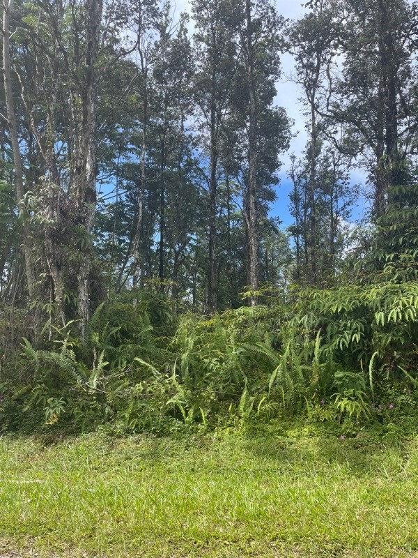 123 Pikake Road Pahoa, HI 96778 - Photo 3 of 3 Gallery Image 3