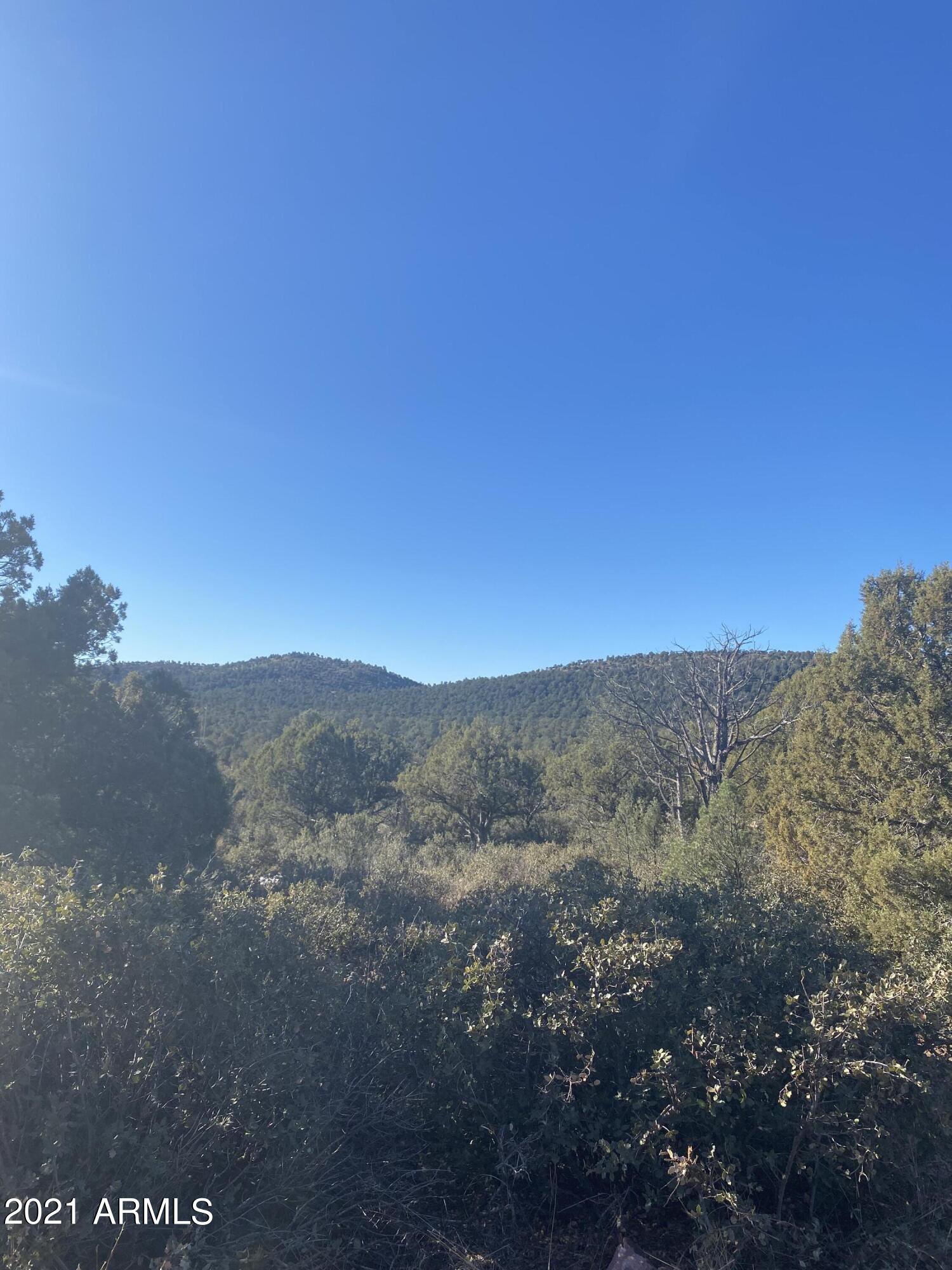 1100 South Mc Lane Road Payson, AZ 85541 - Photo 12 of 14 IMG_6008