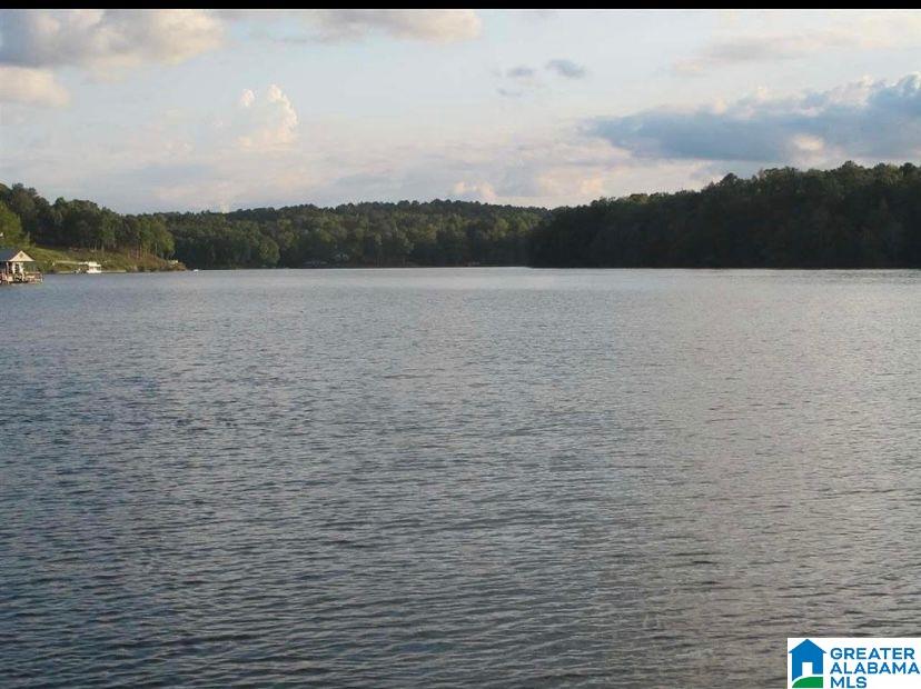 2844 County Road 256 Wedowee, AL 36278 - Photo 37 of 50
