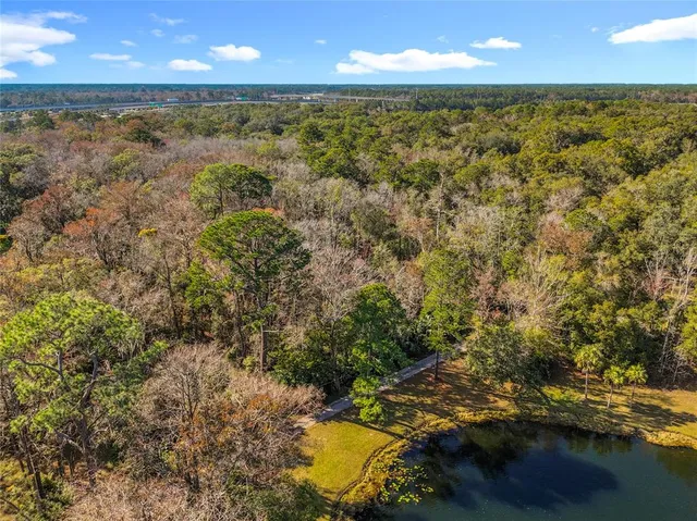 a close up of a vase of flowers