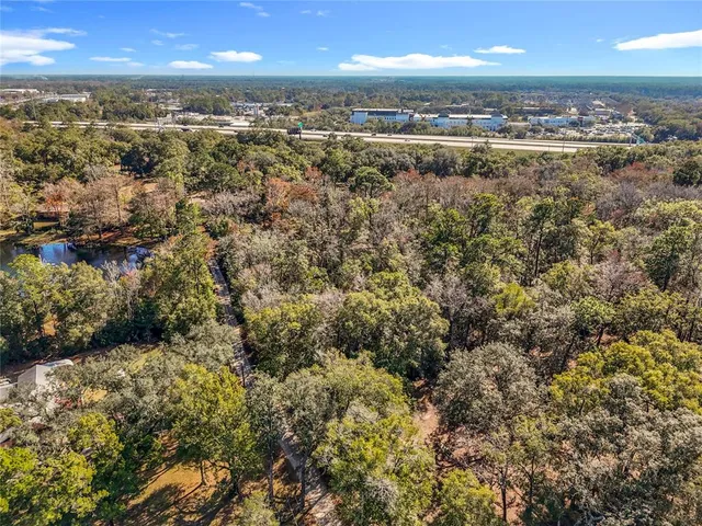 a view of a yard with plants and trees