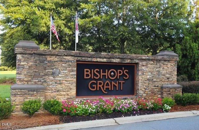 a view of a bunch of flowers