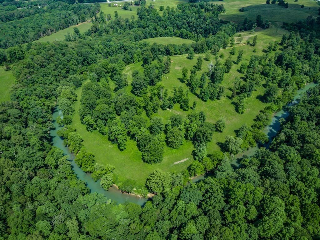 899 Messenger Road Sparta, TN 38583 - Photo 17 of 68 a view of a lush green forest