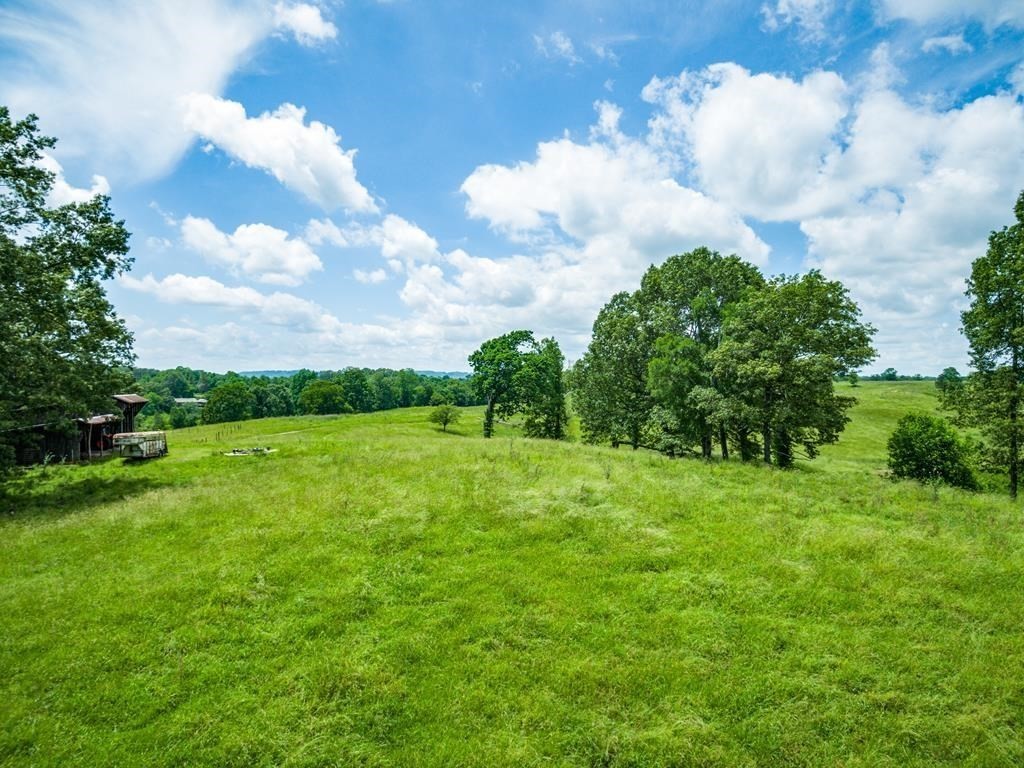 899 Messenger Road Sparta, TN 38583 - Photo 21 of 68 a view of a big yard with plants and a large tree