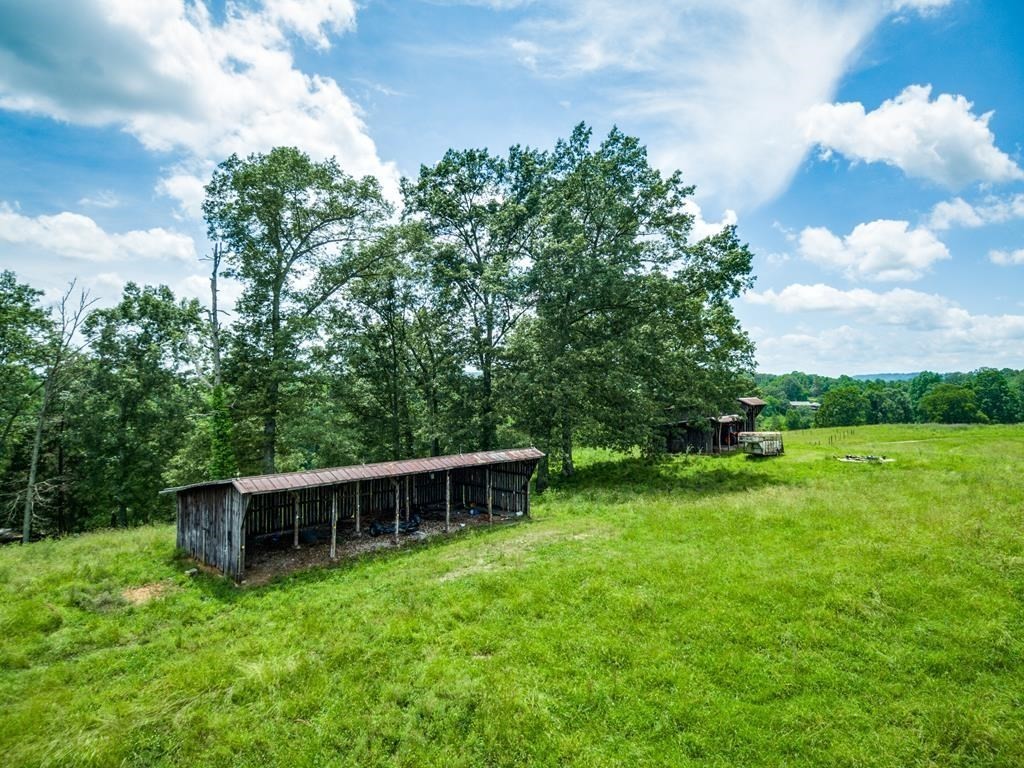 899 Messenger Road Sparta, TN 38583 - Photo 22 of 68 a backyard of a house with plants and large trees