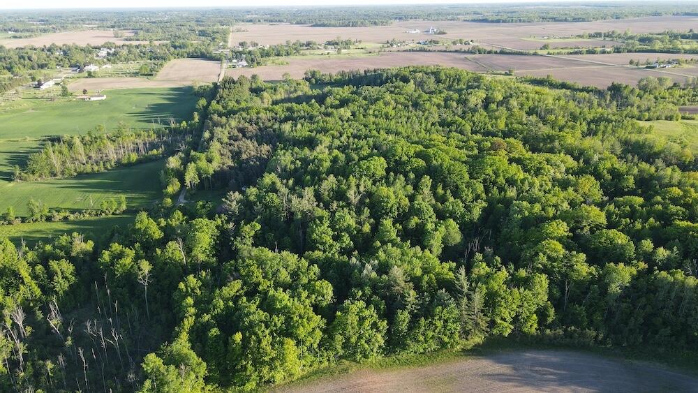Vl Melcher Road Prescott, MI 48756 - Photo 28 of 65 DJI_0829