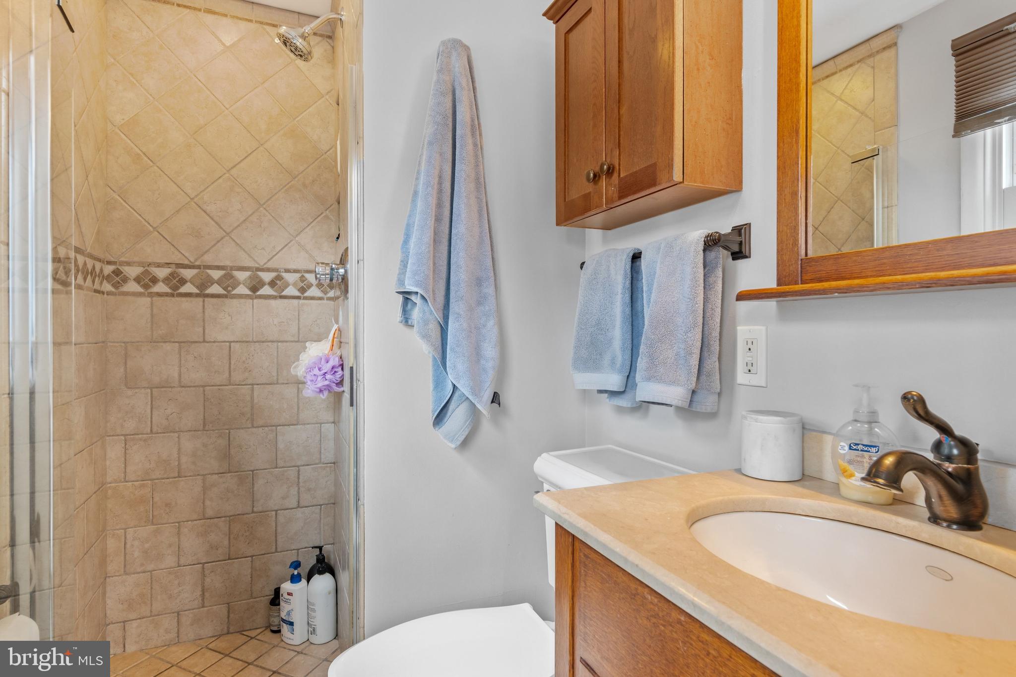 219 Summit Road Malvern, PA 19355 - Photo 18 of 26 Main bath suite