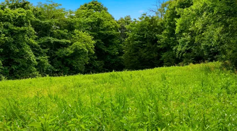 $1,249,900 | 427 Adams Road, Watertown, TN 37184