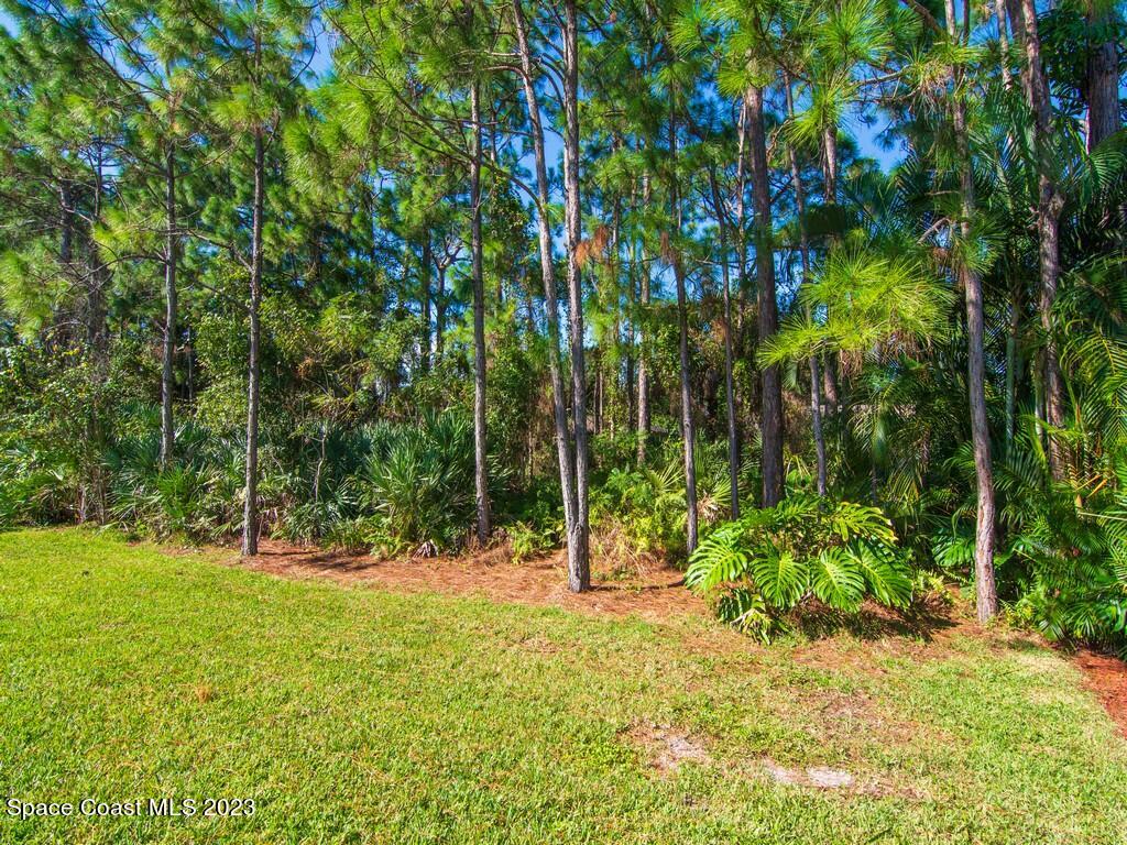 5621 Spanish River Road Fort Pierce, FL 34951 - Photo 22 of 34 a view of outdoor space with trees all around